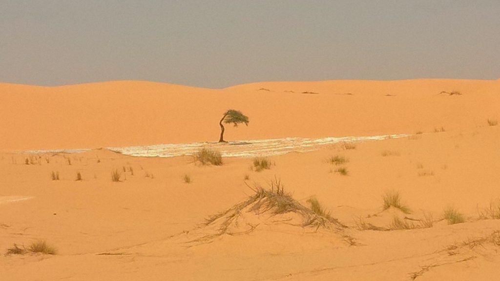 desertando-mauritania-9